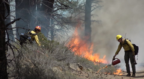 From Bad to Worse: Drought Conditions Could Fuel Nasty Wildfire Season ...