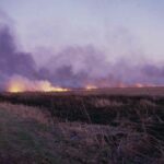 Wildfire_on_fields_by_road